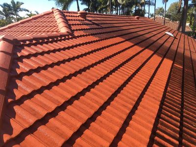 tile roof cleaning sunshine coast
