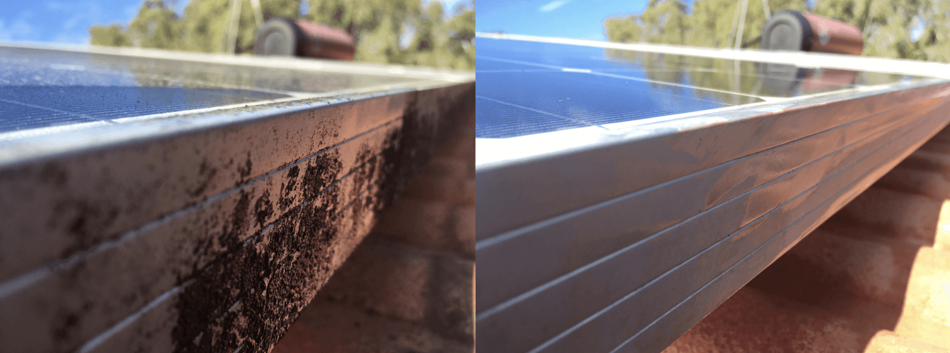 Solar Panel Cleaning Cootharaba