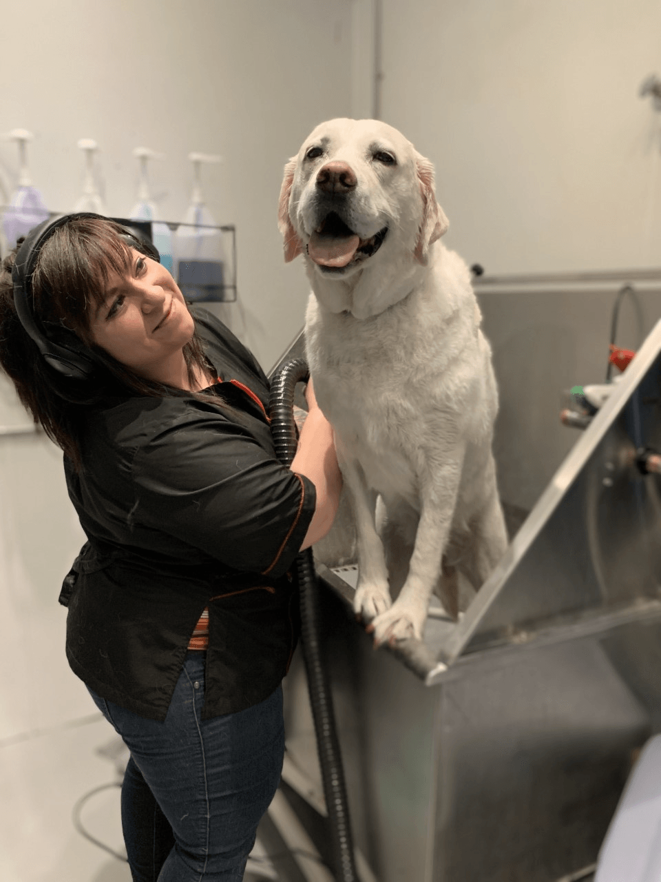 Dog & Cat Grooming Chicago, IL Ravenswoof Pet Grooming