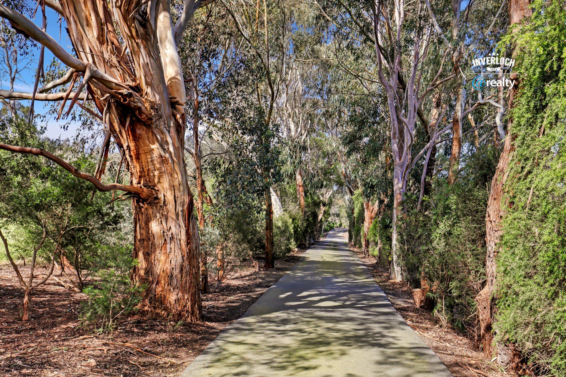 5300 Bass highway For Sale, Inverloch Real Estate Agent,Inverloch 3996,Hot Properties,Ranch,Equine Property,Horse Property,Acreage