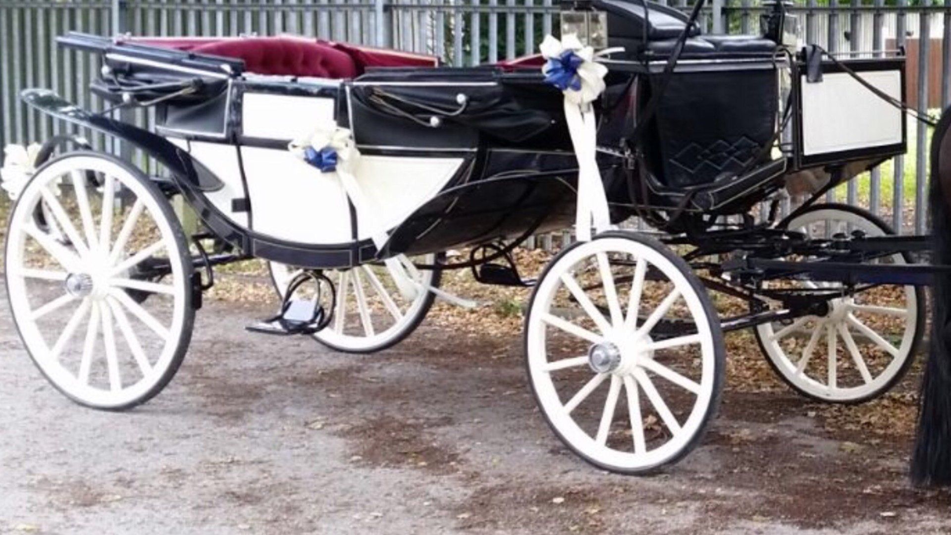 Cinderella carriage Staffordshire Carriages