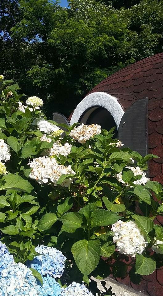 un bungalow circondato da piante fiorite