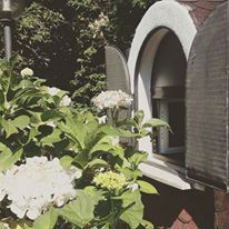 finestra di un bungalow con vista sulla rigogliosa natura circostante