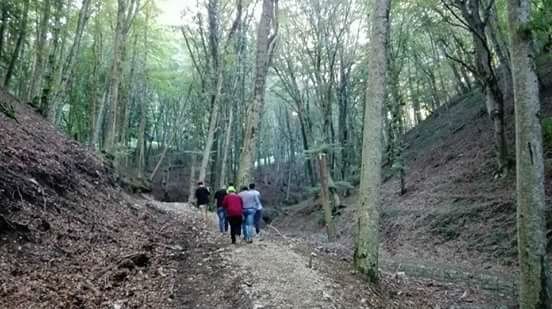 escursione all'aperto nel bosco