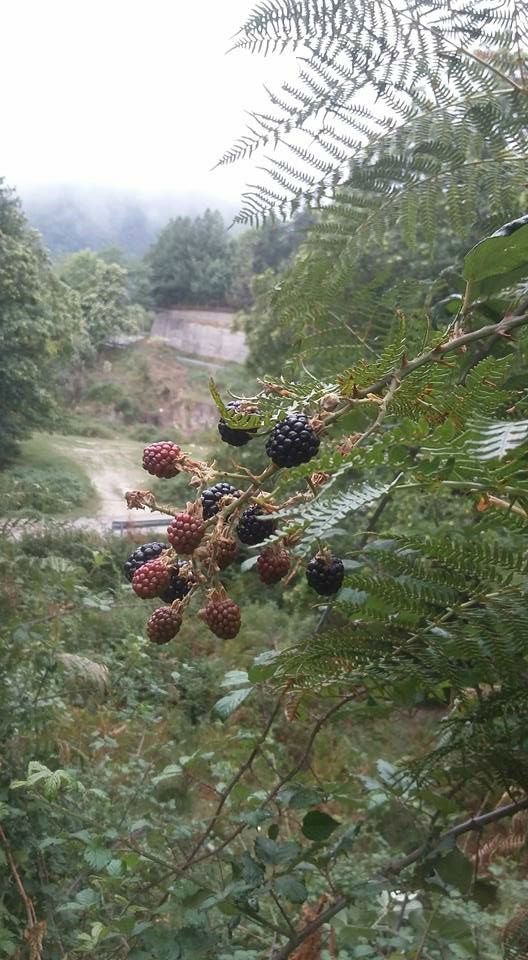 percorsi naturalistici all'aperto