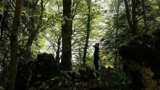 escursioni all'aperto nei boschi