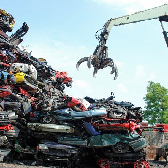 Scrap Car Collection