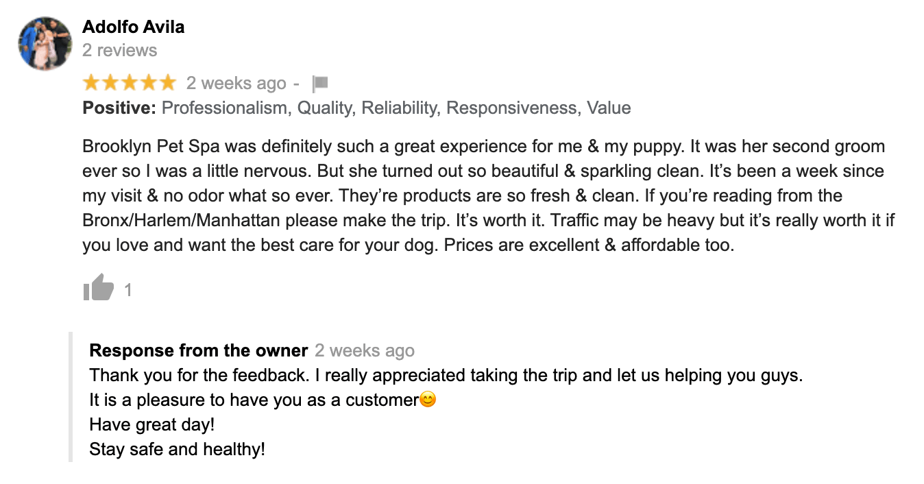 Brooklyn Pet Spa NY Professional Pet Grooming & Pampering Services