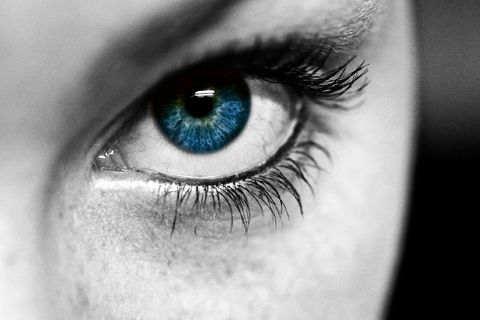 Fábrica de Óculos, lentes de qualidade reconhecida a 