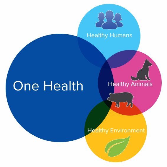 national-centre-for-antimicrobial-stewardship