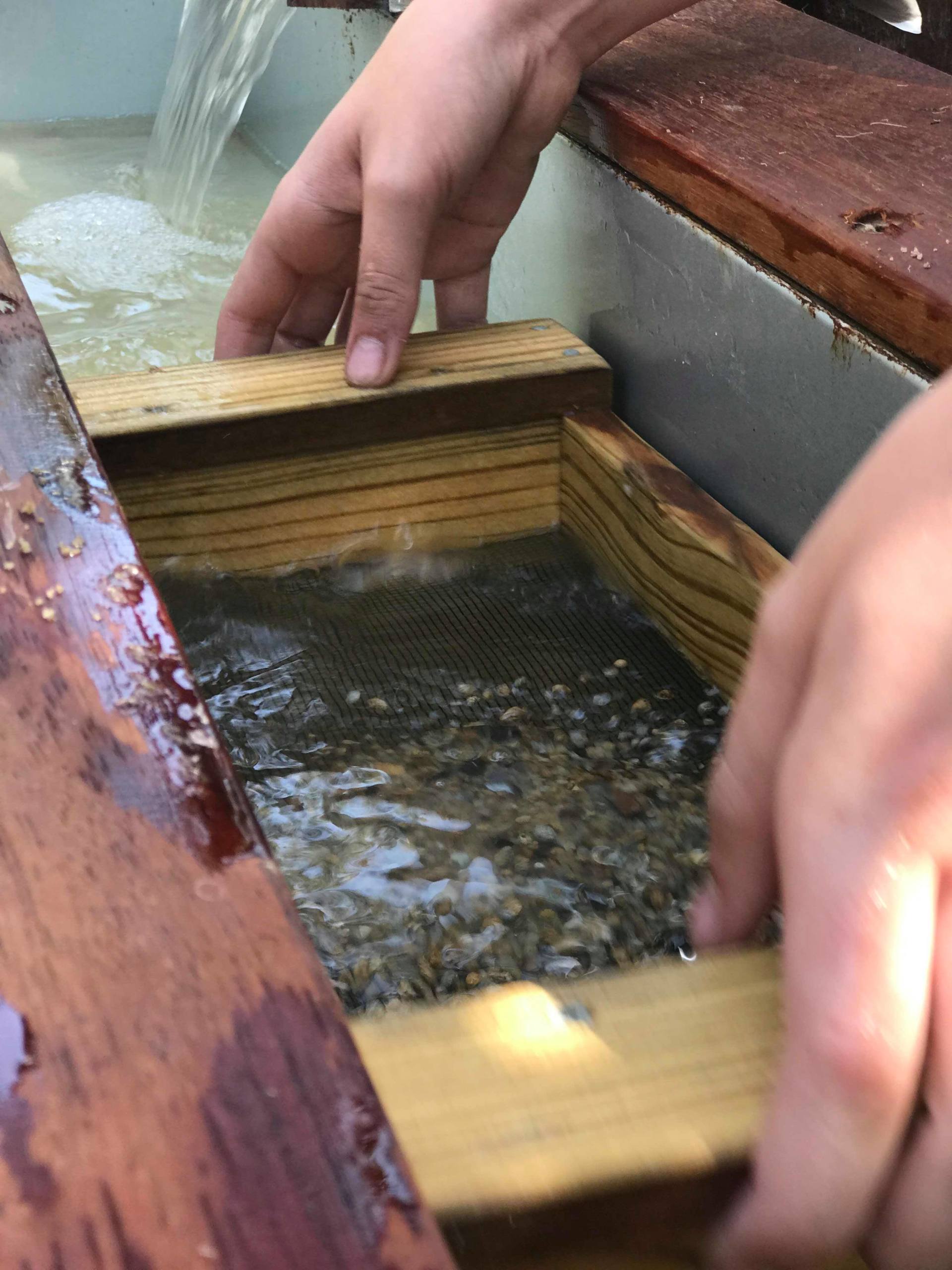Thunderbird Park Thunderegg Crystal Mine Crystal Panning Tamborine
