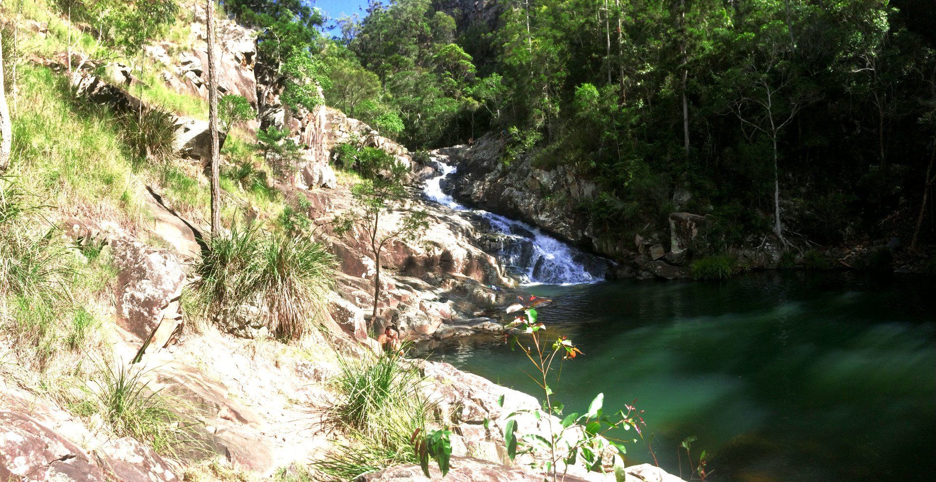 Cedar Creek Falls & Bush Walking Gold Coast Thunderbird Park, Mount
