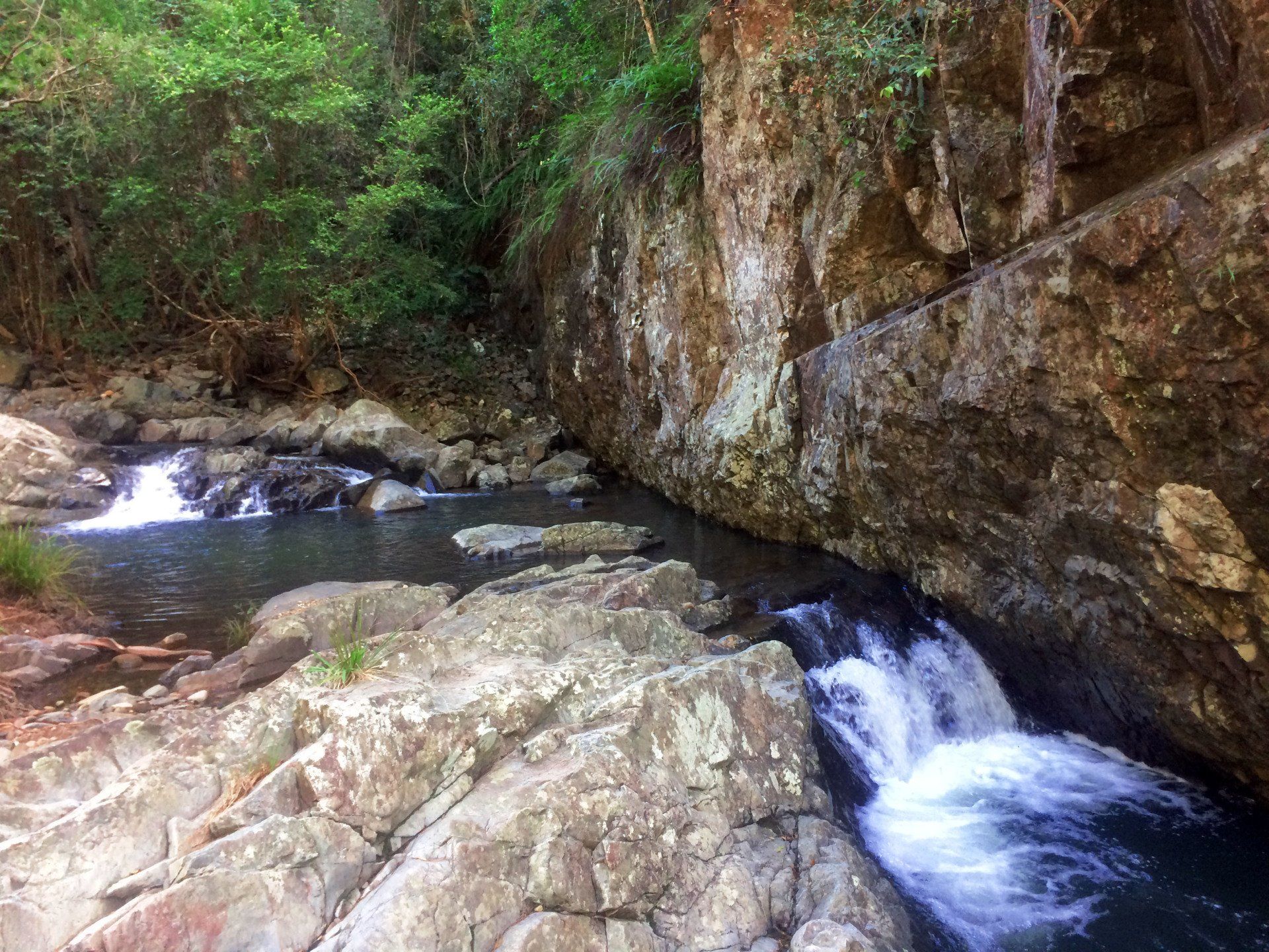 Cedar Creek Falls & Bush Walking Gold Coast | Thunderbird Park, Mount ...