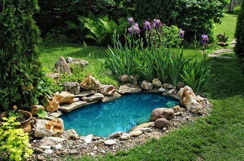 5 Things To Know About Irrigating With Pond Water