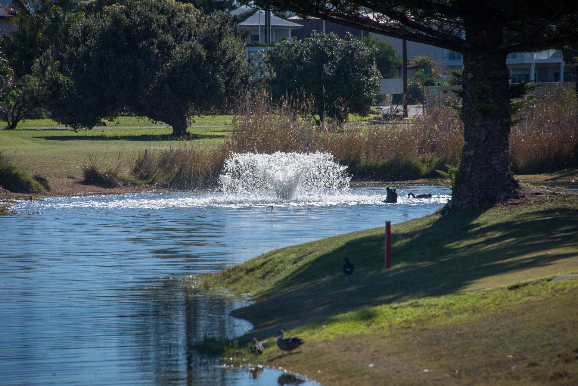 South Lakes Golf Club Goolwa, SA The Course