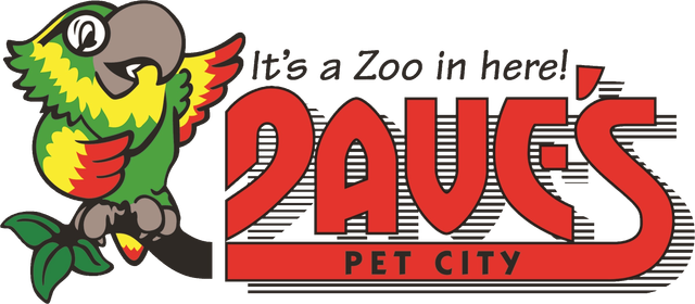 Soda and Pet City | Pet Store | Agawam, MA