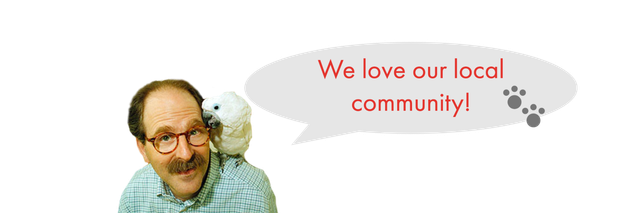 dave's soda and pet city