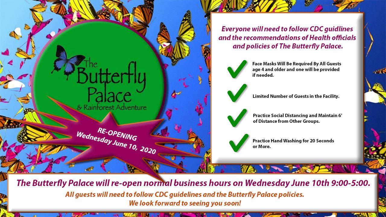 The Butterfly Palace & Rainforest Adventure Branson, MO 65616