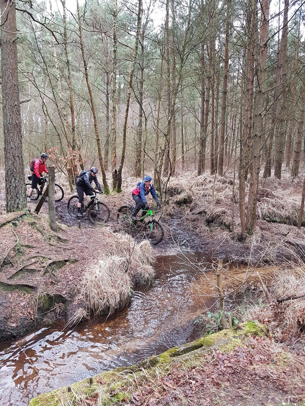 New Forest Mountain Biking Guided Rides and Improvers Skills