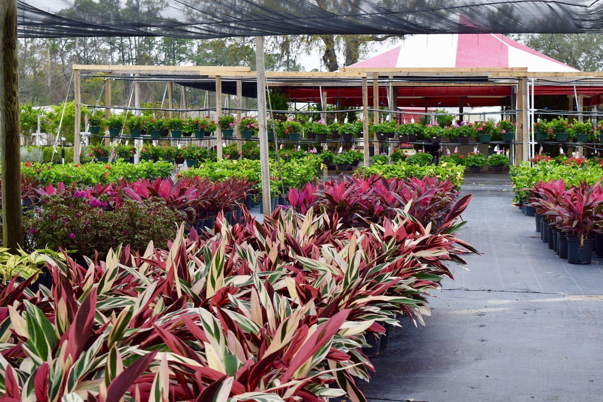 Holiday’s Nursery & Landscaping Jacksonville, FL Home