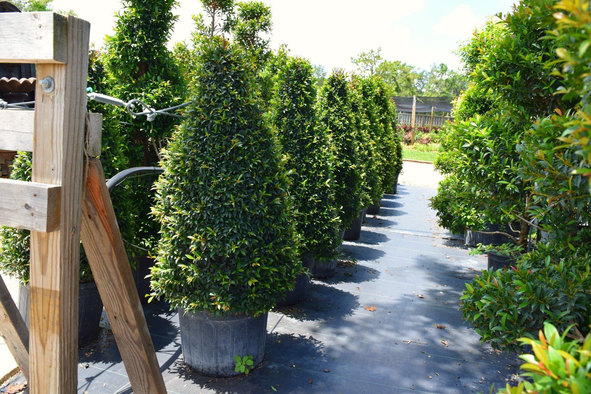Holiday’s Nursery & Landscaping Jacksonville, FL Home