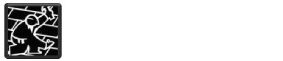 Local roofer North Pole, AK | ACE Roofing LLC