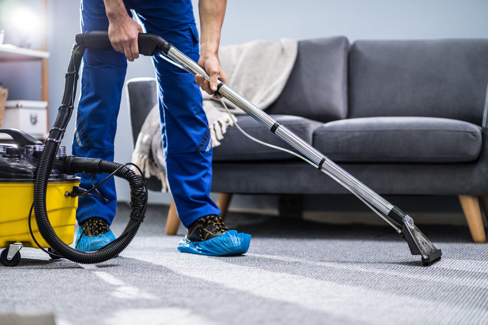 Carpet cleaning Geelong