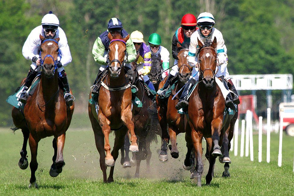 Chepstow Racecourse, Monmouthshire, South Wales The Beaufort Hotel