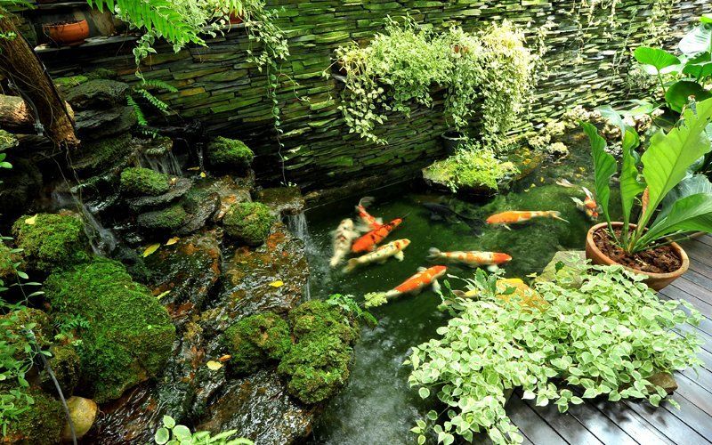 Buy pond equipment and supplies Fiveacre Pond Supplies