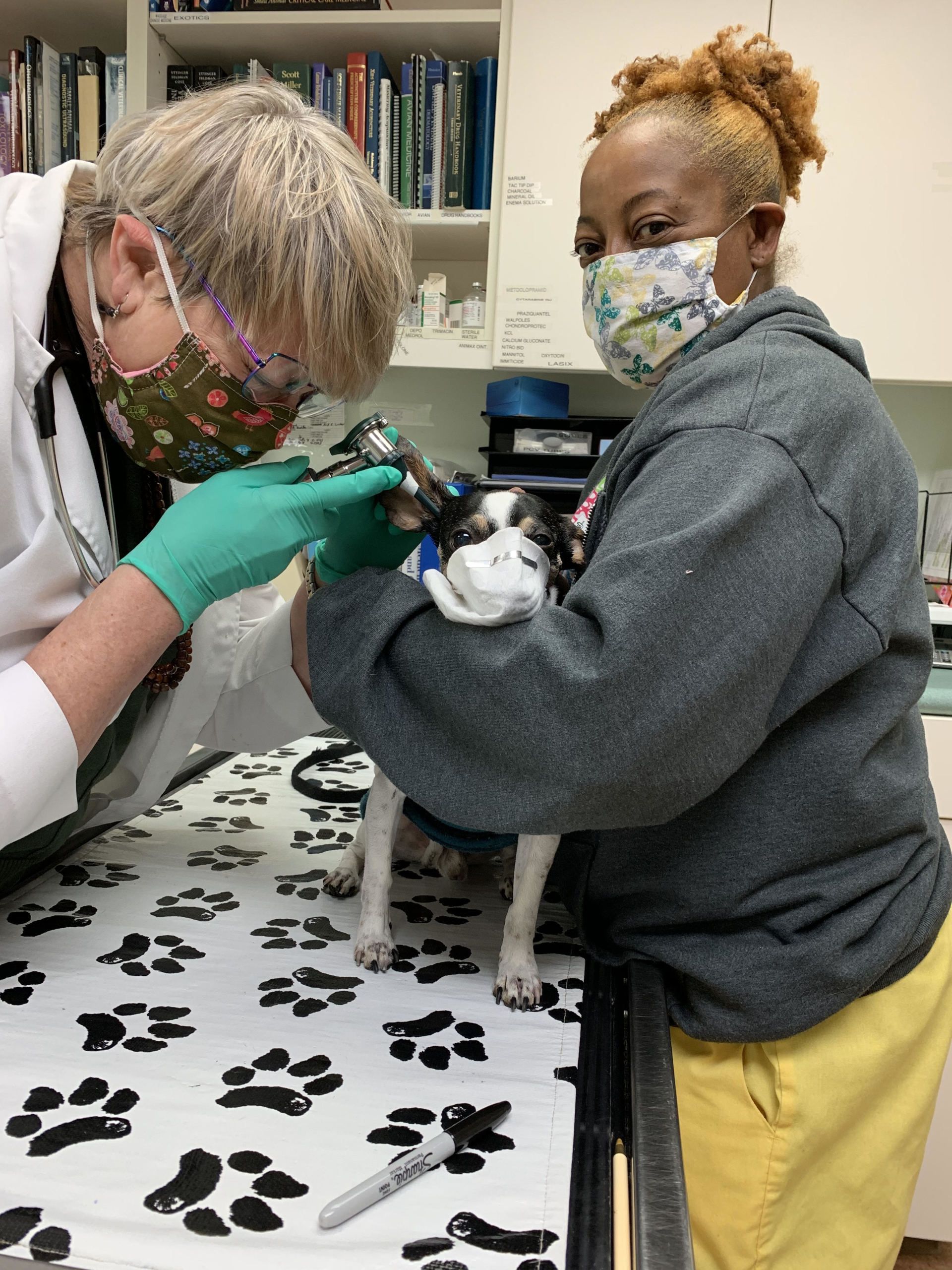 University Animal Hospital Greensboro, NC Local Veterinary