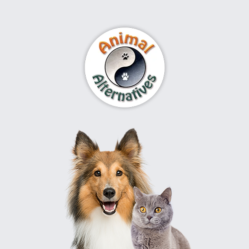 bearss animal hospital