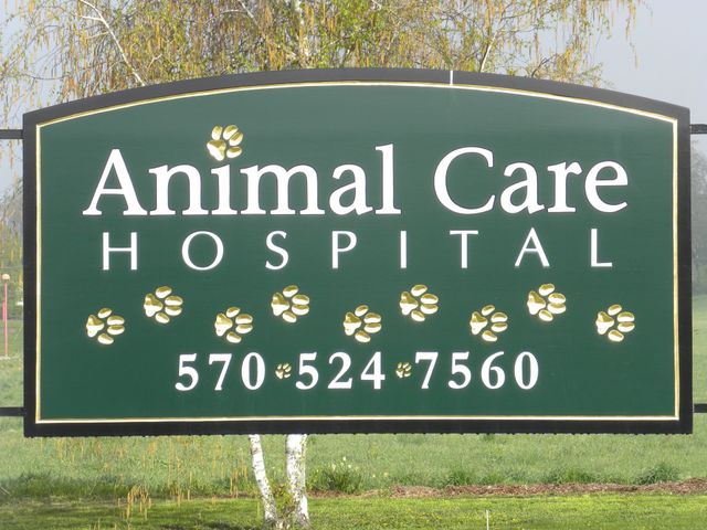 animal care hospital near me