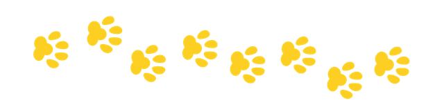 central veterinary clinic