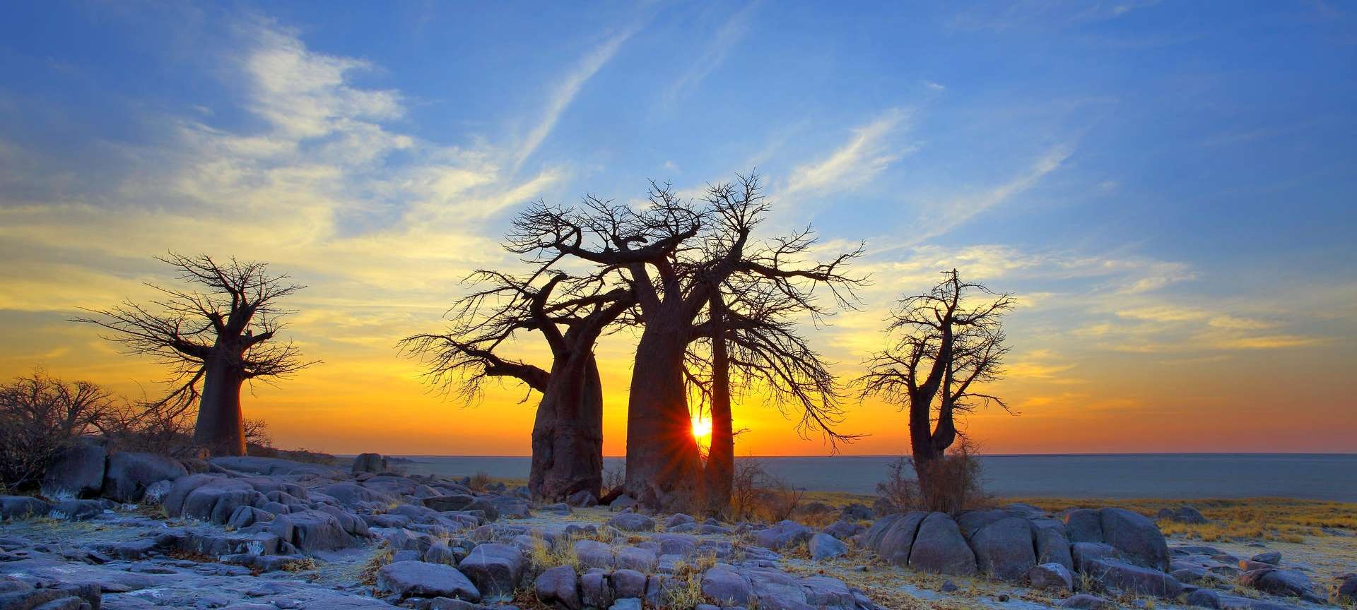 Visit the Makgadikgadi Pans in Botswana
