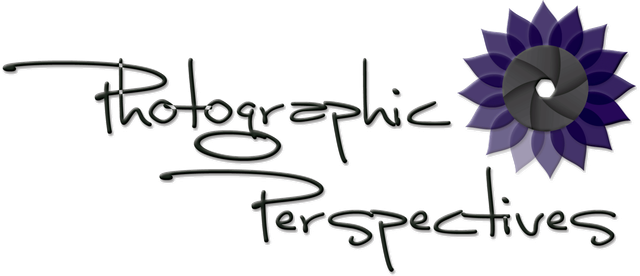 Styles Dj Service Trusted Community Partners