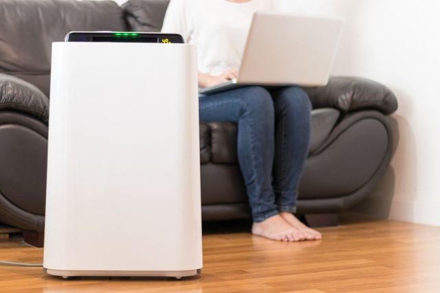heat and cool air purifier