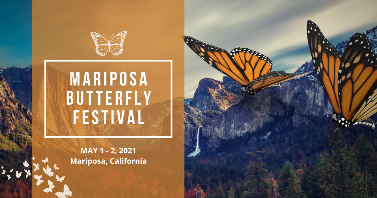 Mariposa Butterfly Festival Mariposa California