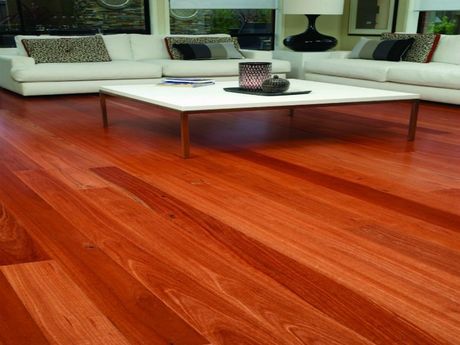 Blue Gum Hardwood