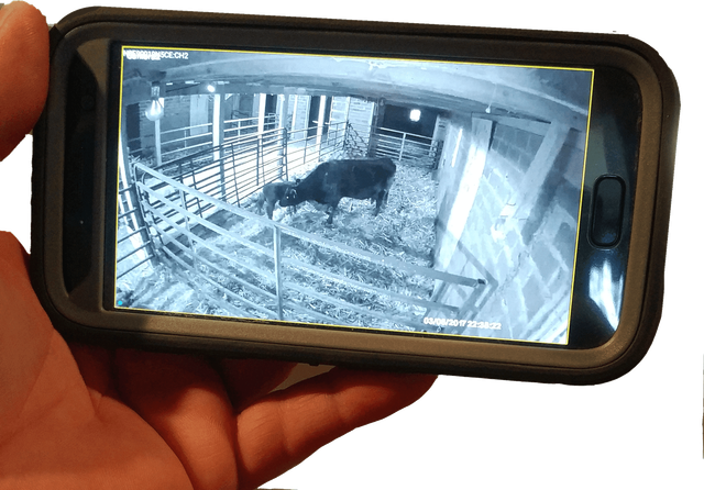 High Definition Wireless Barn Cameras 