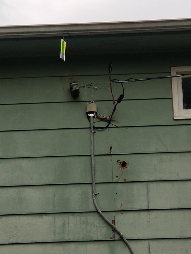 Woodpecker Damaged Exterior