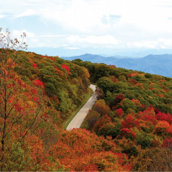 Tellico Plains Tennessee Road Trips