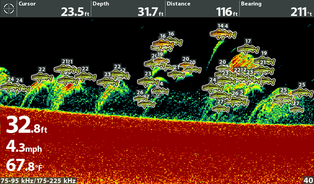 humminbird fish id