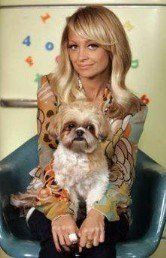 Famous Shih Tzus| Celebrities Who Own a 