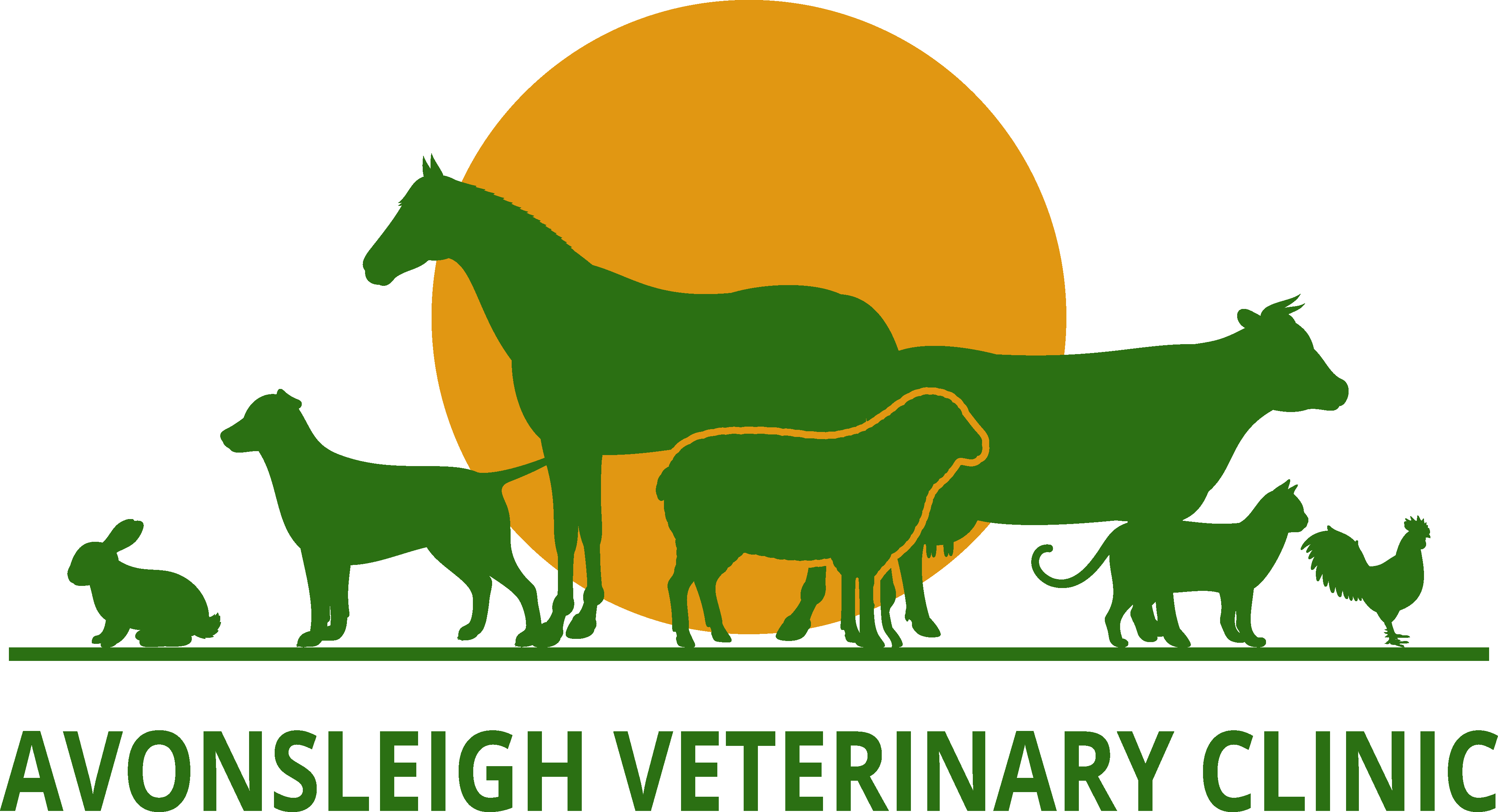 From Nose To Tail Comprehensive Veterinary Services To Keep Your Pet Thriving - s4336fo