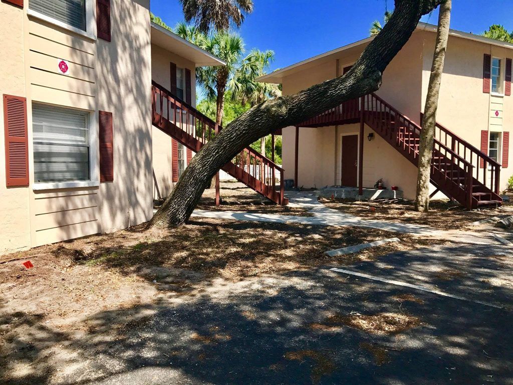 Bradenton - Real Recover