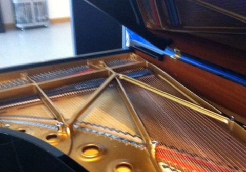 online piano tuner