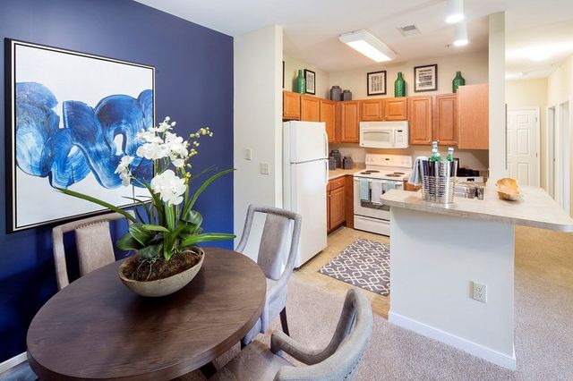 View Our Amenities River Forest Apartments Chester Va View Our Amenities River Forest Apartments Chester Va