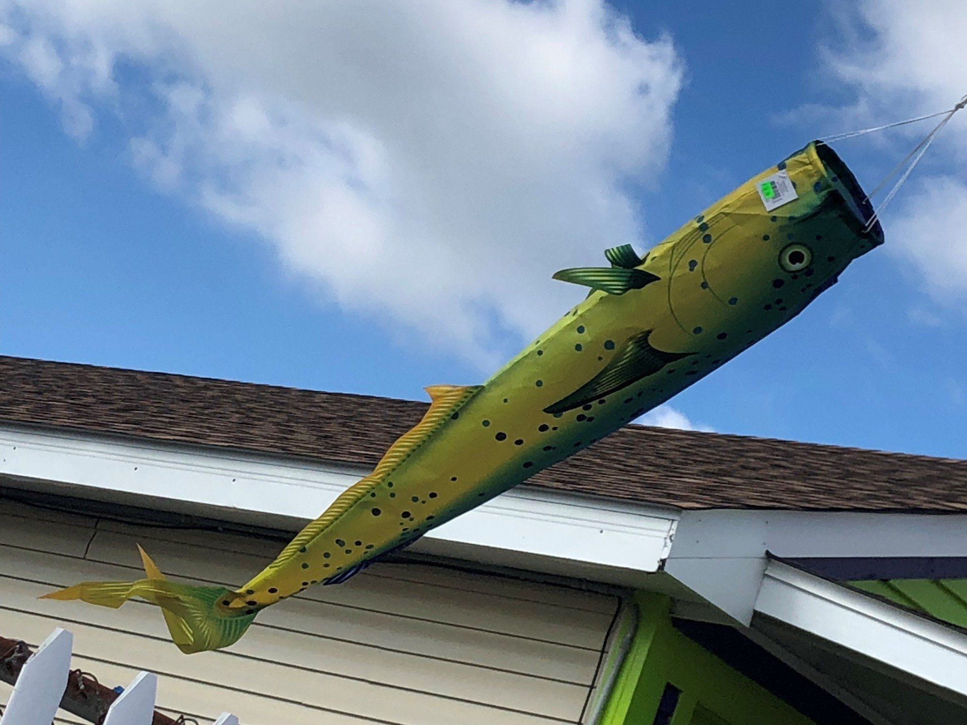 Plant Greenhouses Wilmington, NC Garden Center & Garden Accessories