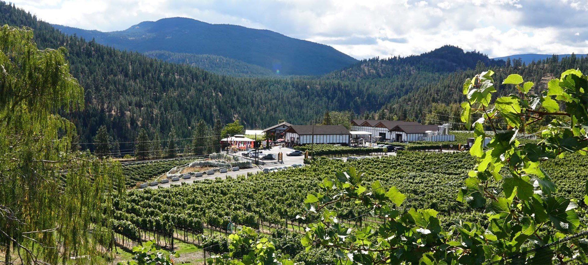 Dirty Laundry Vineyard | Kelowna Winery Accommodation