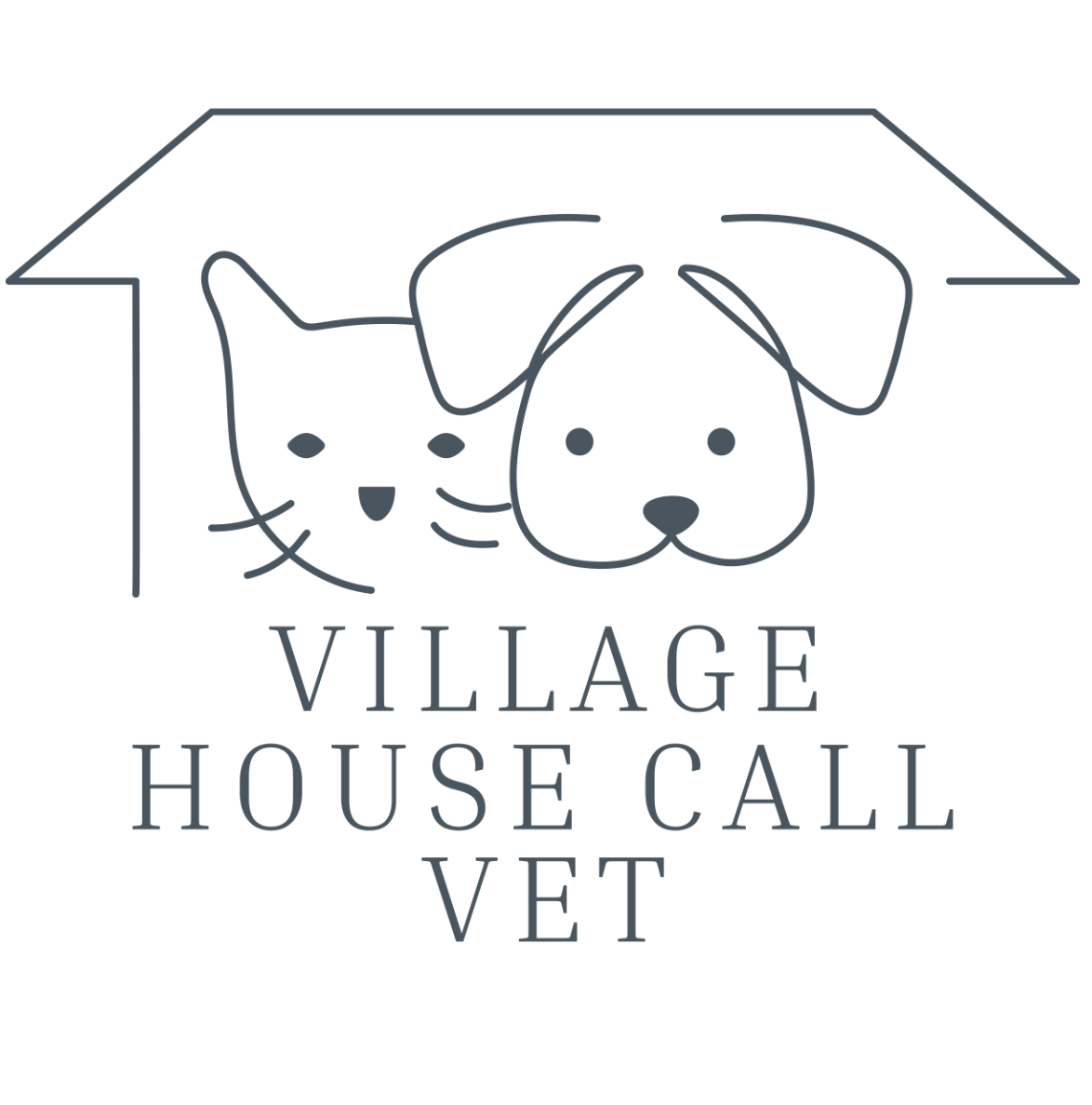 house call vet